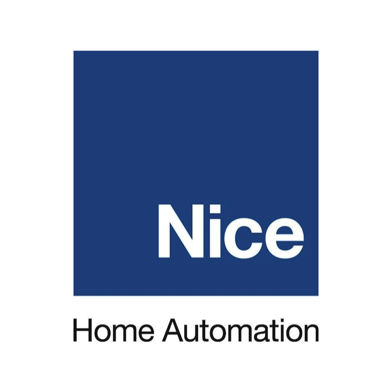 Logo de NICE